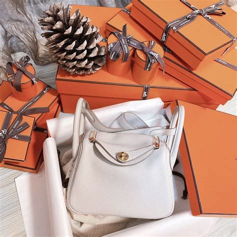 hermes iris lindy|little lindy hermes mini.